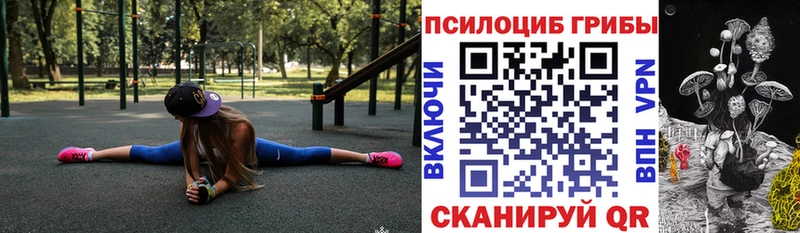 Галлюциногенные грибы Psilocybine cubensis  Купить  Галич 